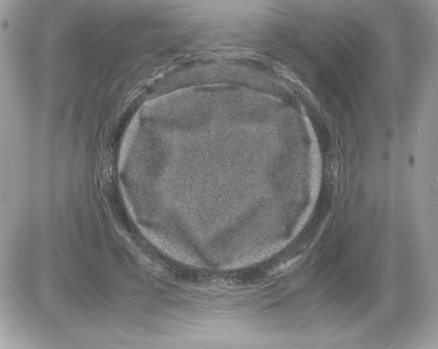 X0000085810593200704131948