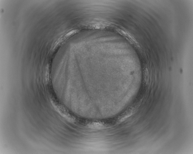 X0000085810594200704131948