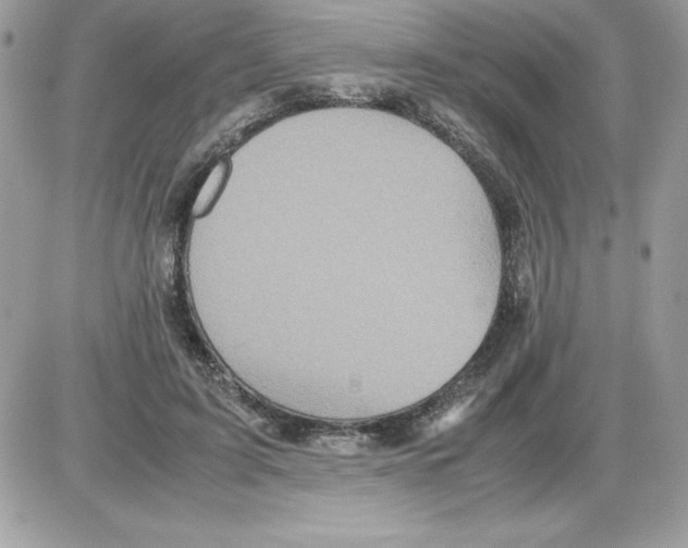 X0000085810595200704131948