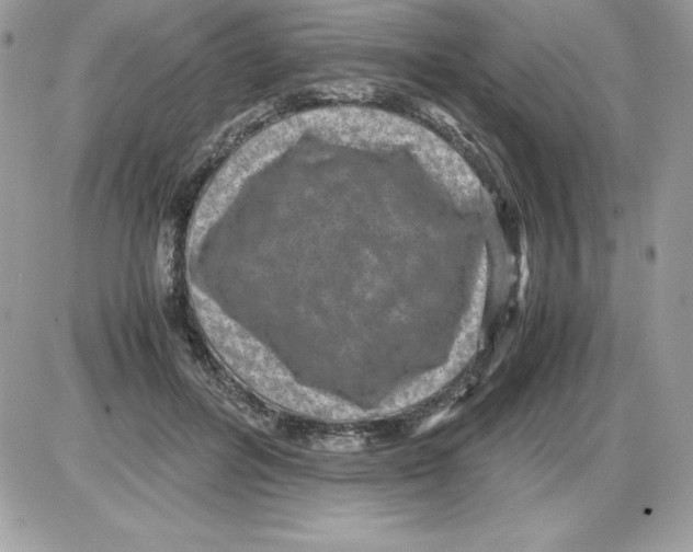 X0000085810600200704131948