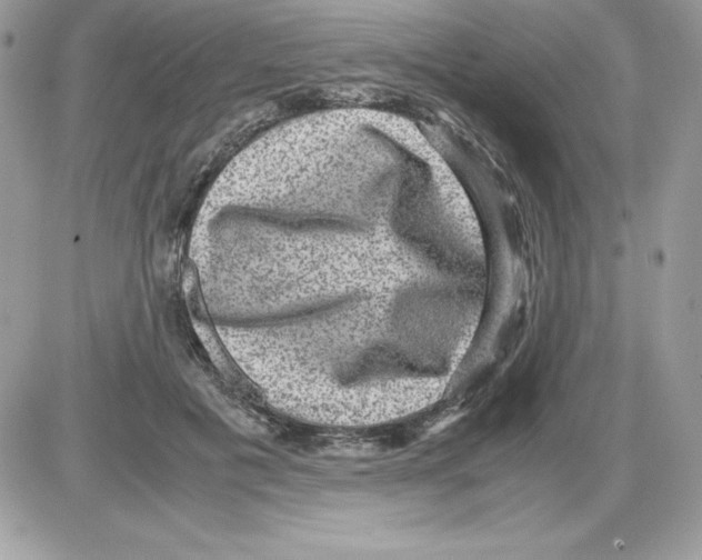 X0000085810601200704131948