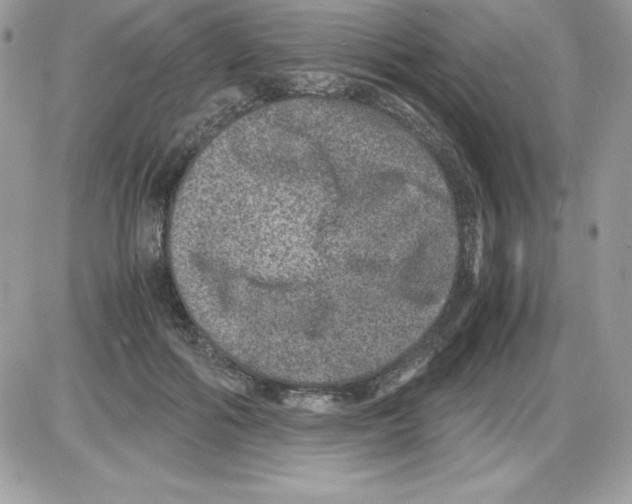 X0000085810602200704131948