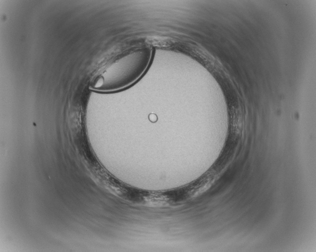 X0000085810603200704131948