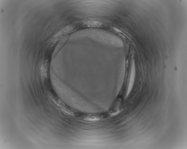 X0000085810604200704131948