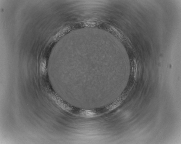 X0000085810610200704131948