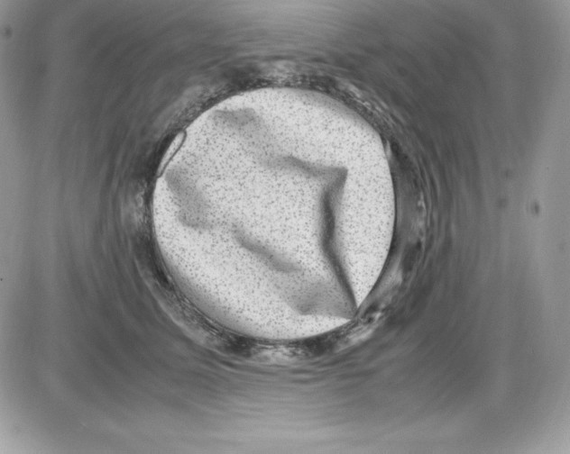 X0000085810611200704131948