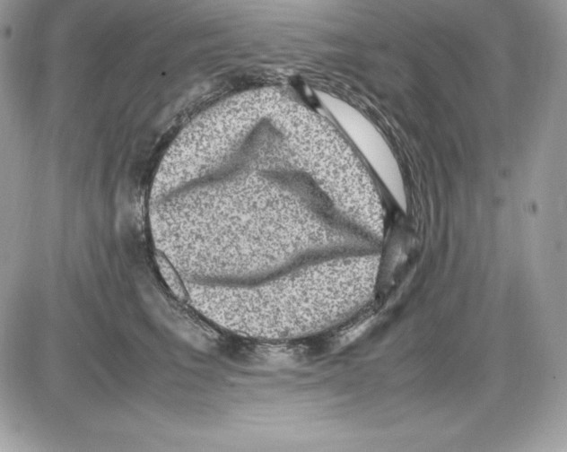 X0000085810613200704131948