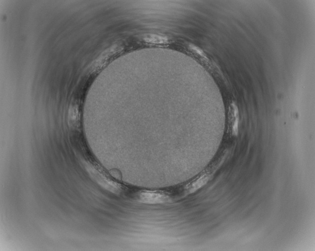 X0000085810614200704131948