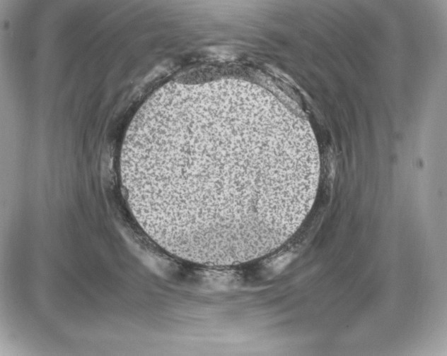 X0000085810615200704131948