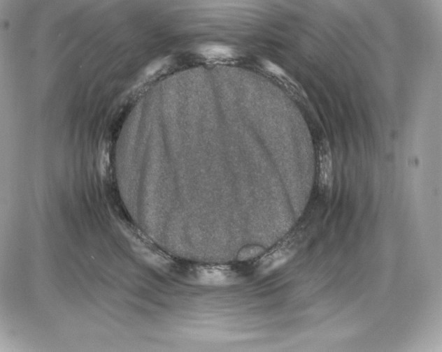 X0000085810618200704131948