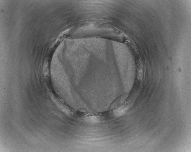 X0000085810620200704131948