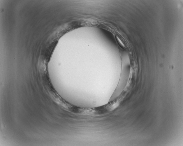 X0000085810621200704131948