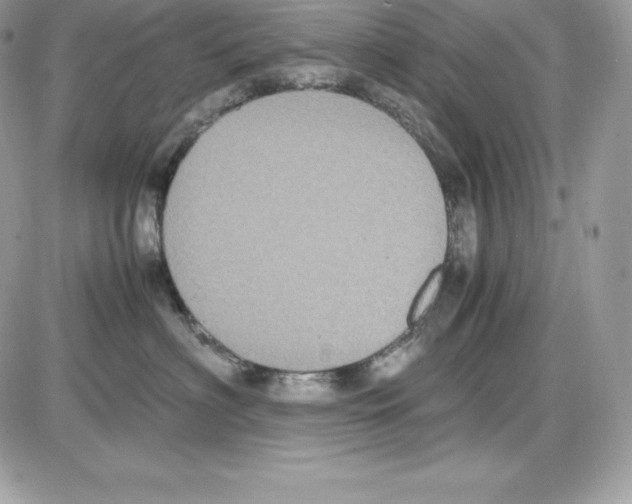 X0000085810622200704131948