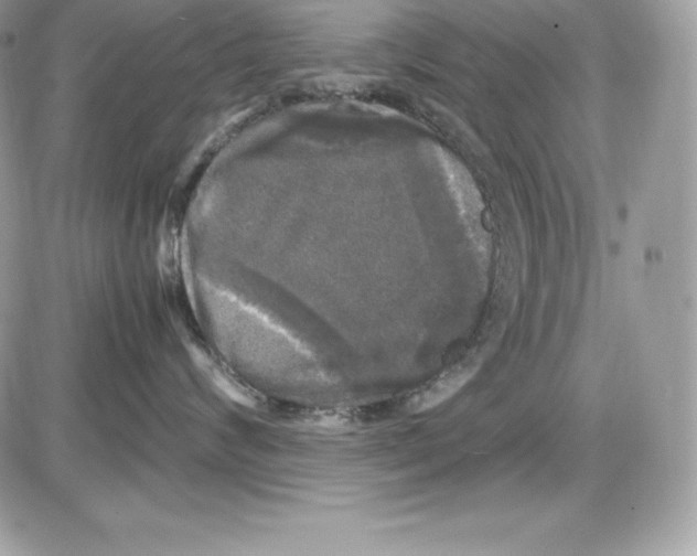 X0000085810624200704131948