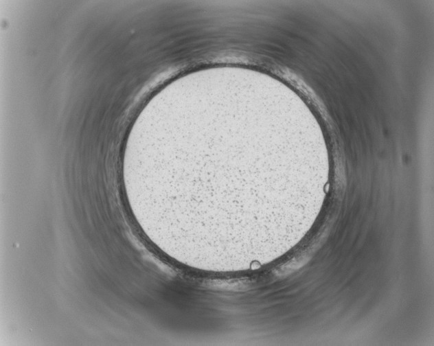 X0000085810625200704131947