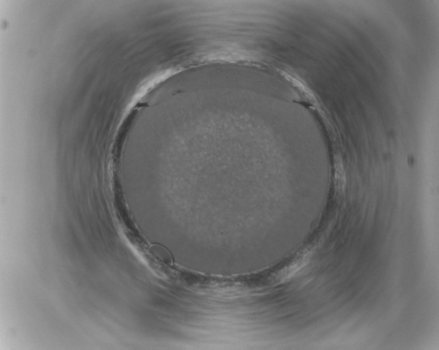 X0000085810626200704131947