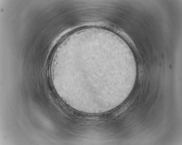 X0000085810628200704131947