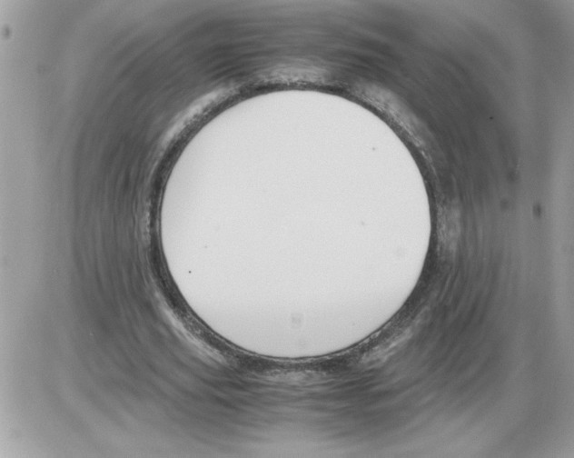 X0000085810629200704131947