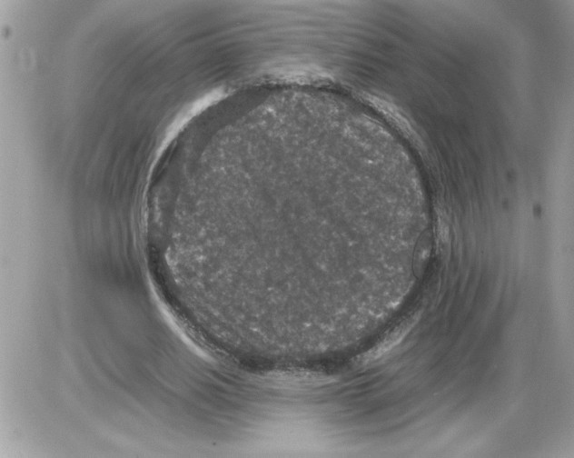 X0000085810630200704131947