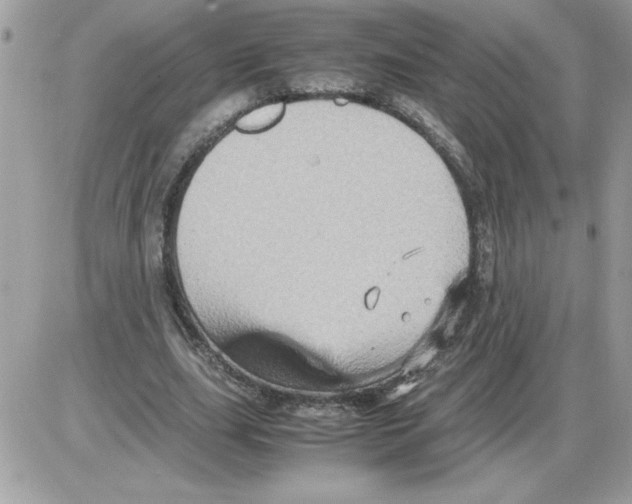 X0000085810631200704131947