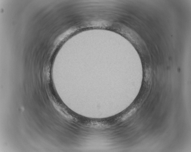 X0000085810632200704131947