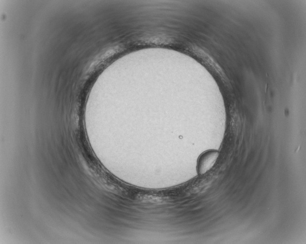 X0000085810635200704131947