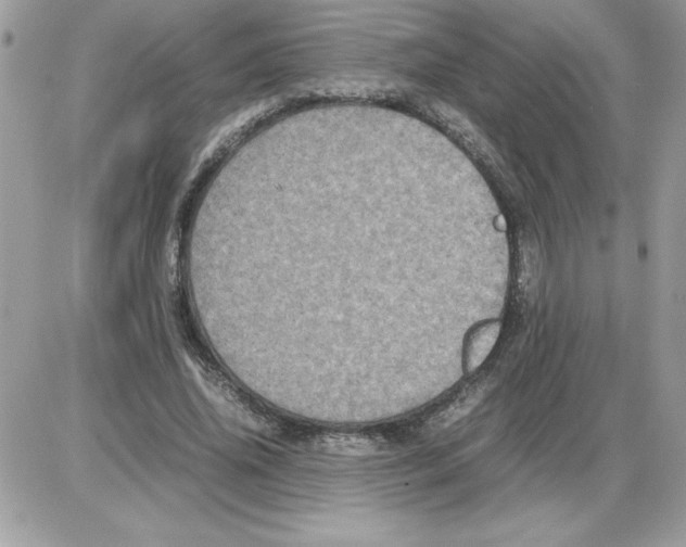 X0000085810636200704131947