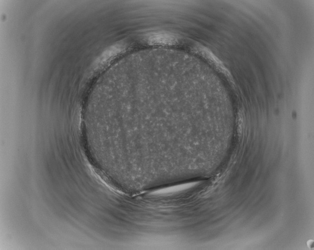 X0000085810637200704131947