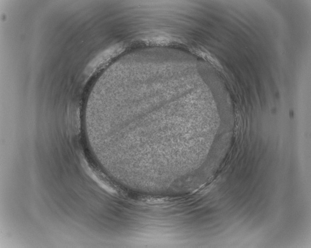 X0000085810638200704131947