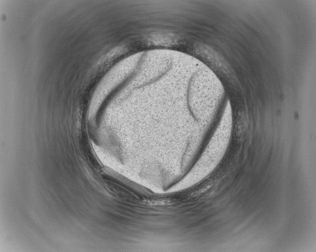 X0000085810639200704131947