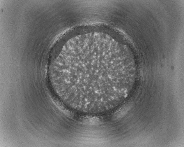 X0000085810640200704131947