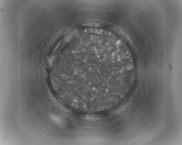 X0000085810641200704131947