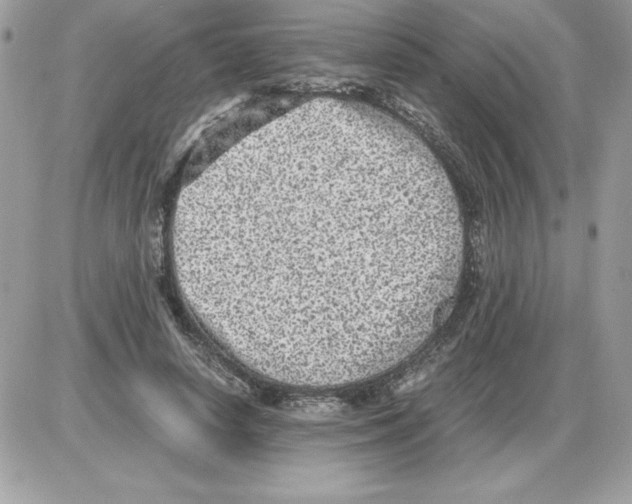 X0000085810642200704131947