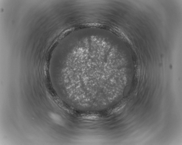 X0000085810643200704131947