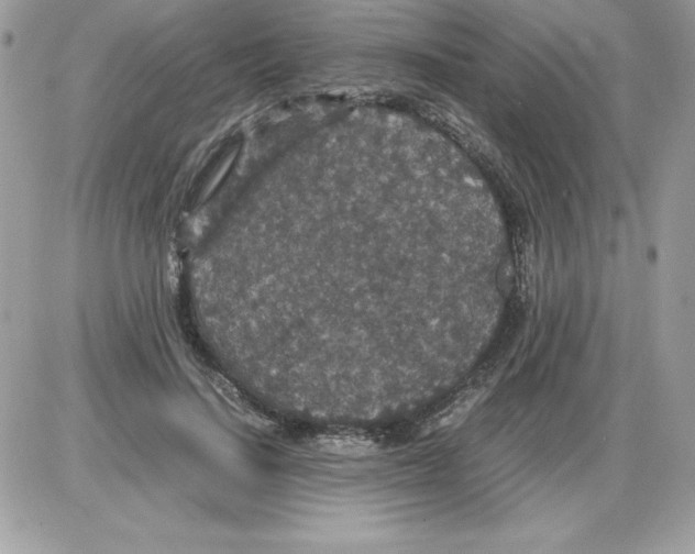 X0000085810644200704131947