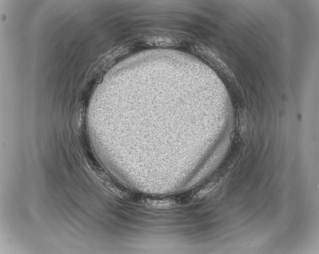 X0000085810645200704131947