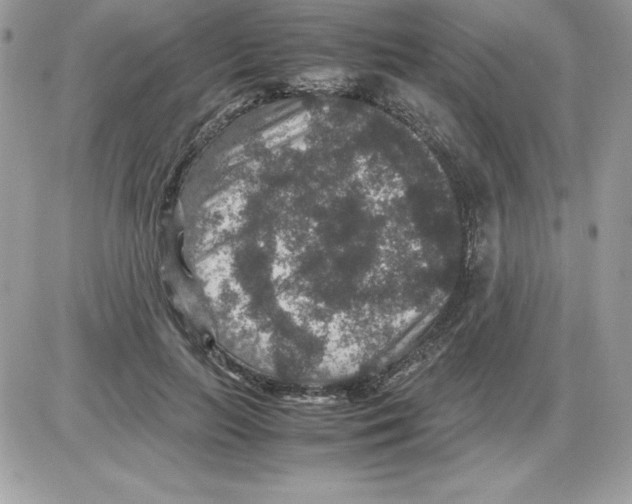 X0000085810647200704131947