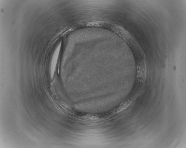 X0000085810648200704131947