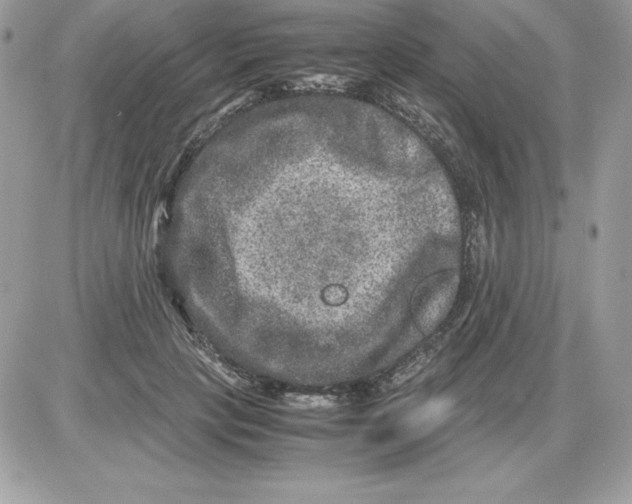 X0000085810649200704131947