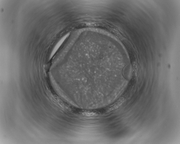 X0000085810650200704131947