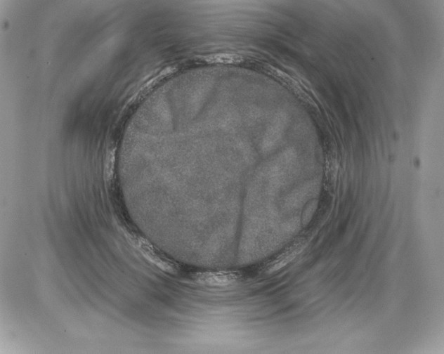 X0000085810652200704131948