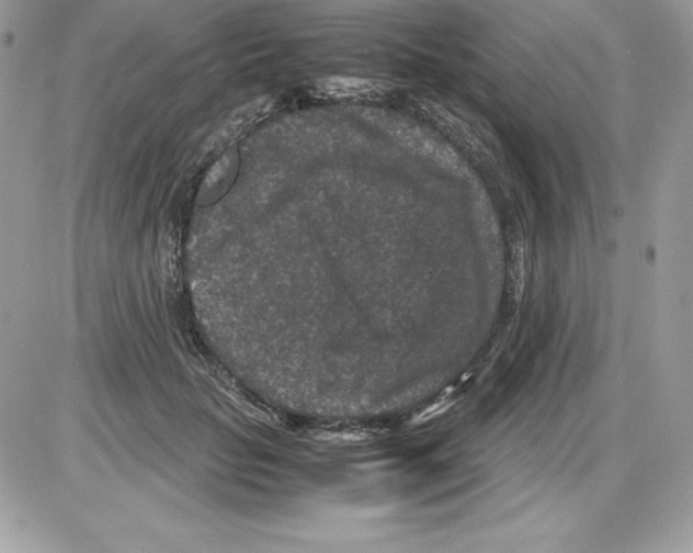 X0000085810653200704131948