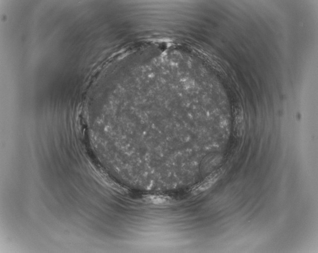 X0000085810654200704131948