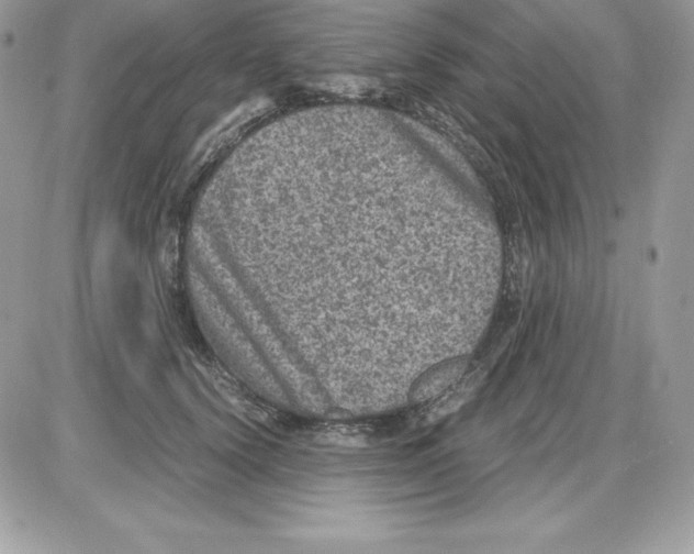 X0000085810656200704131948