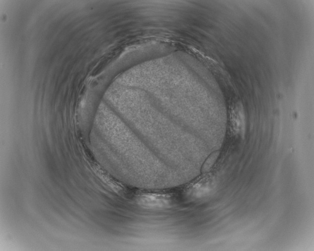 X0000085810657200704131948