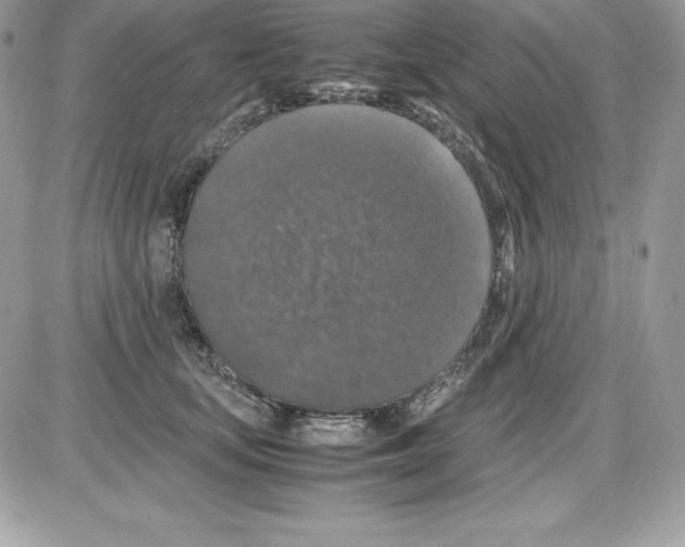 X0000085810659200704131948