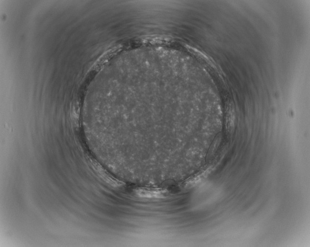 X0000085810661200704131948