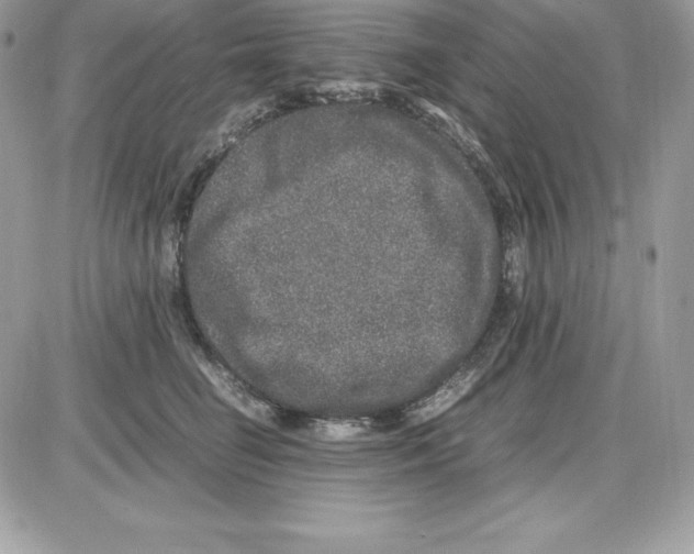 X0000085810662200704131948