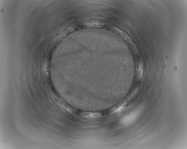 X0000085810663200704131948