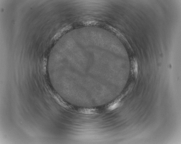 X0000085810664200704131948